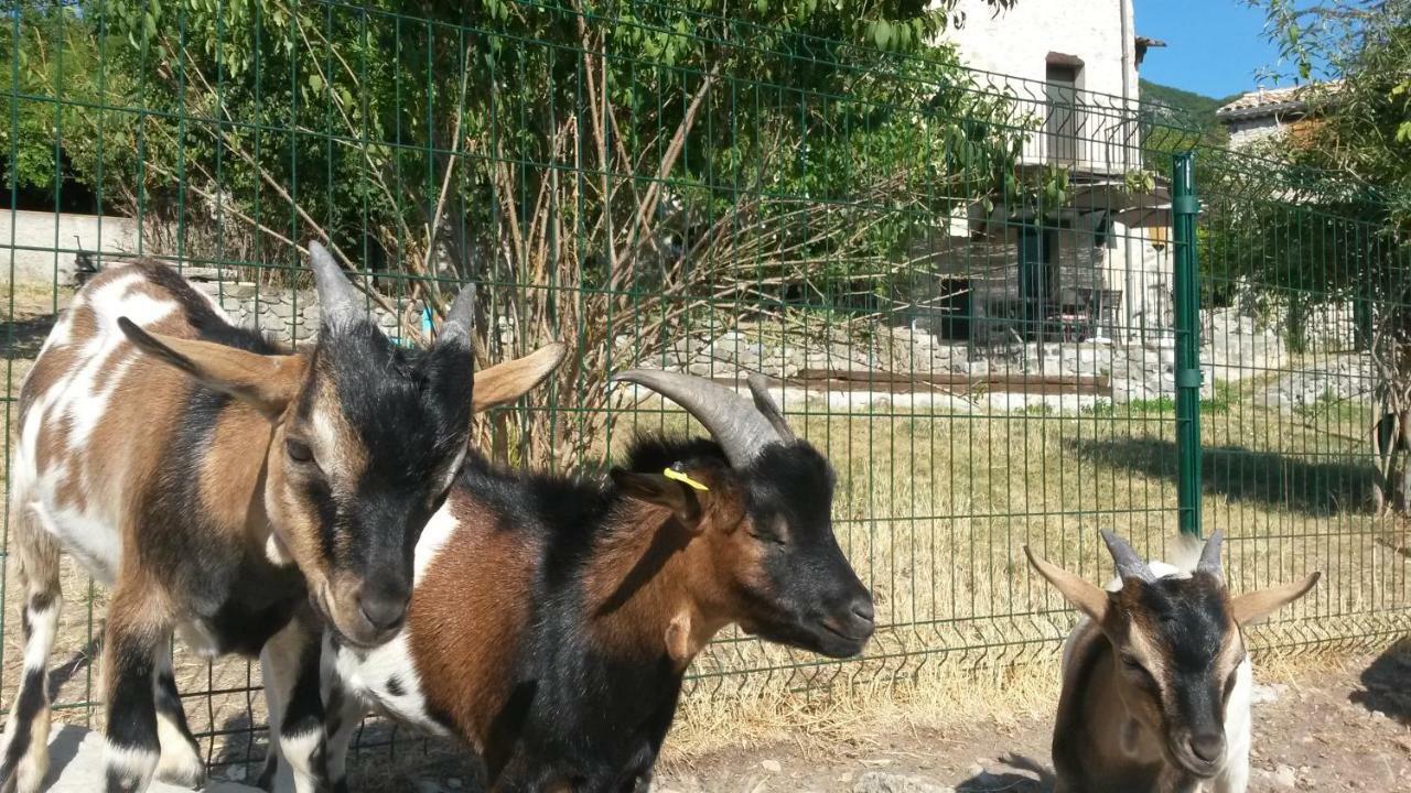 אנטרוו Chambres D'Hotes - La Maison De Julie מראה חיצוני תמונה